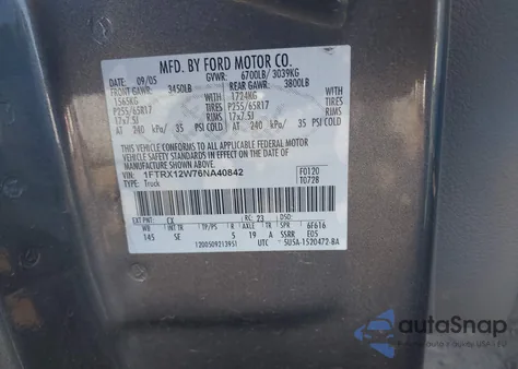 2006 Ford F-150 Stx/Xl/Xlt z USA, uszkodzony, nr VIN 1FTRX12W76NA40842